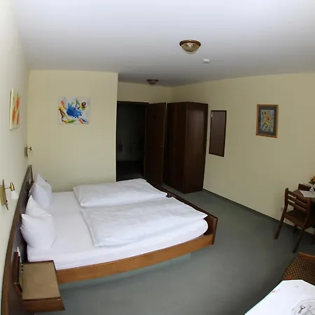 Hotel Zum Lowen 2*